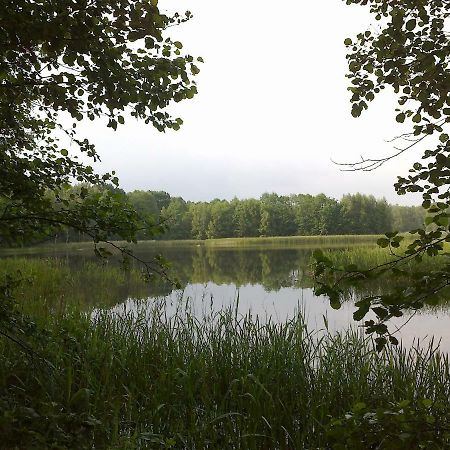 Ferienhaus Knappensee Lohsa 外观 照片